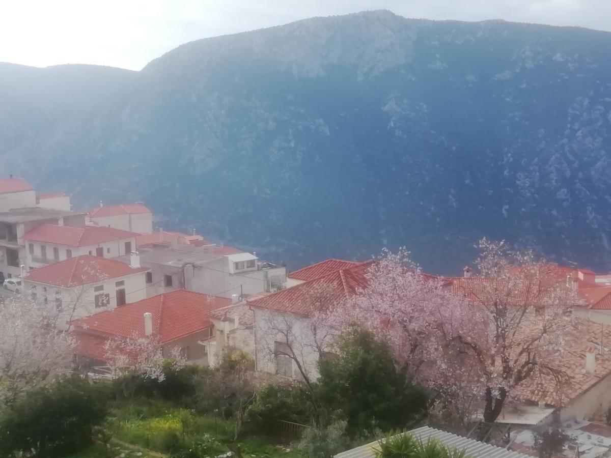 Castri Hotel Delphi Ngoại thất bức ảnh